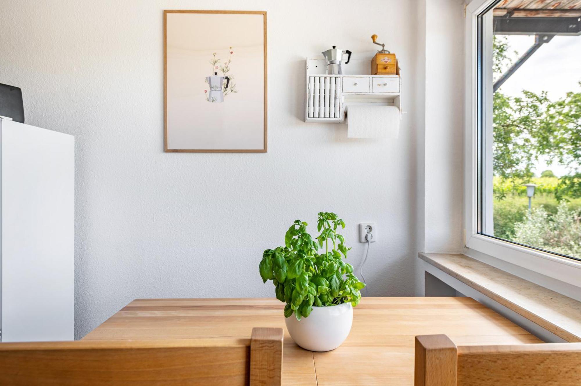 Ferienwohnung In Den Bachteln ズルツブルク エクステリア 写真